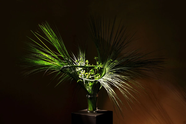 Signature Creation 3