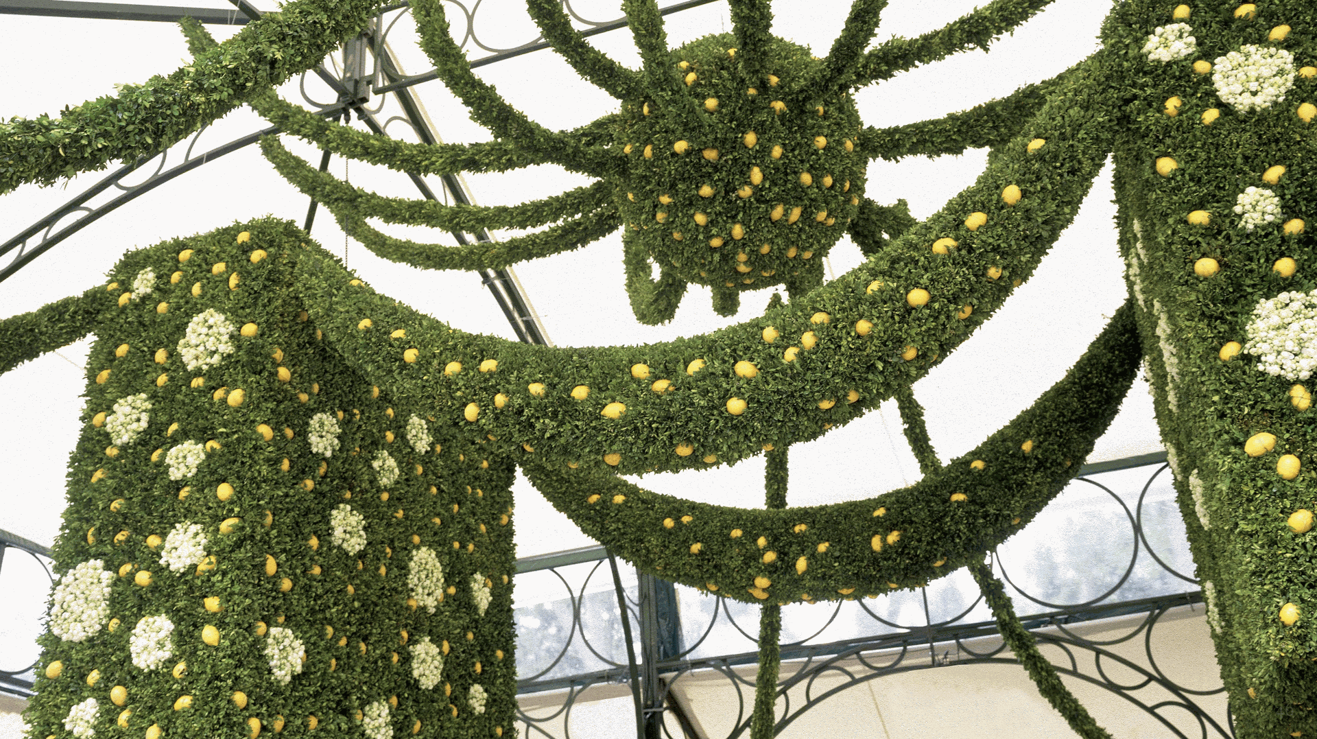 Floral Fixture 10