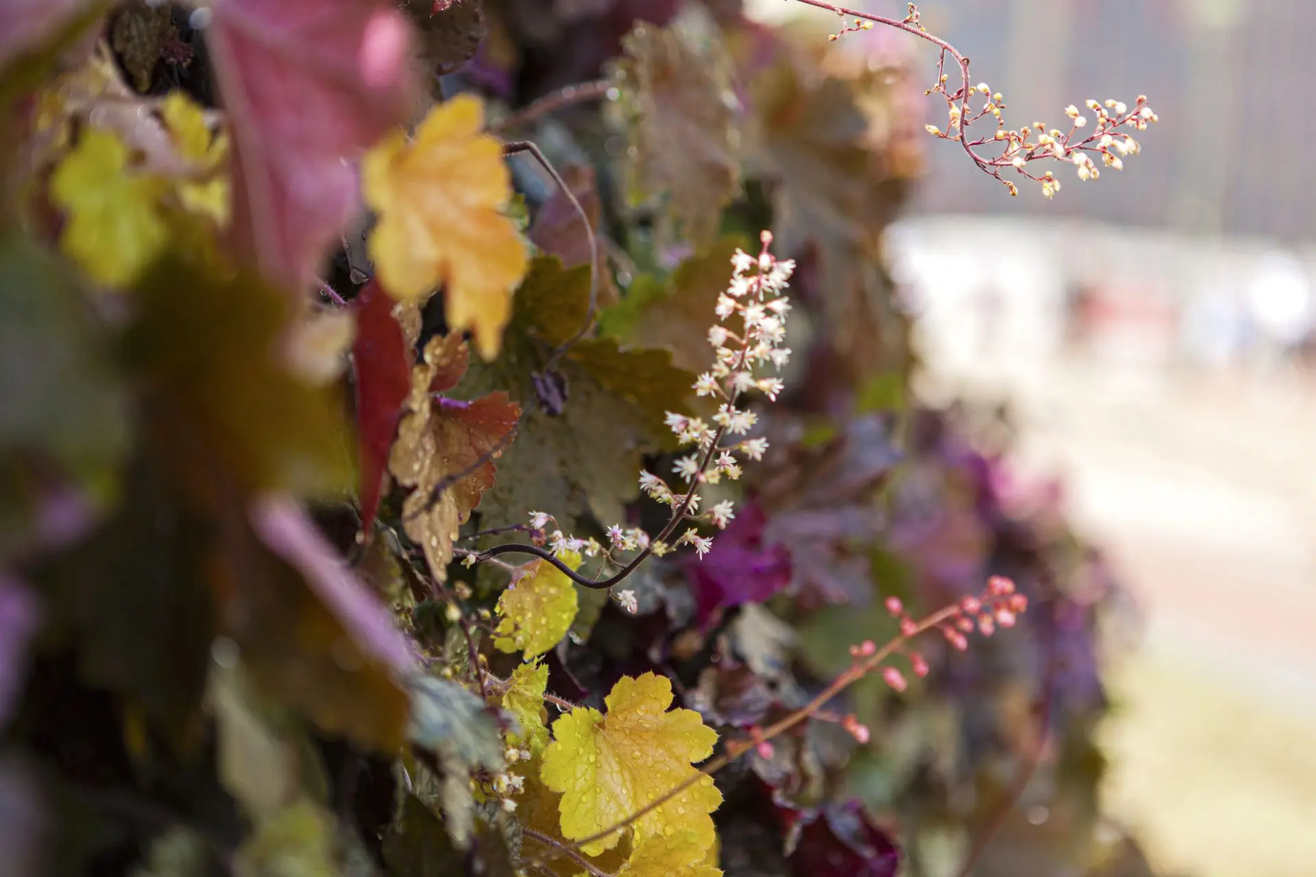 Landscapes image 2