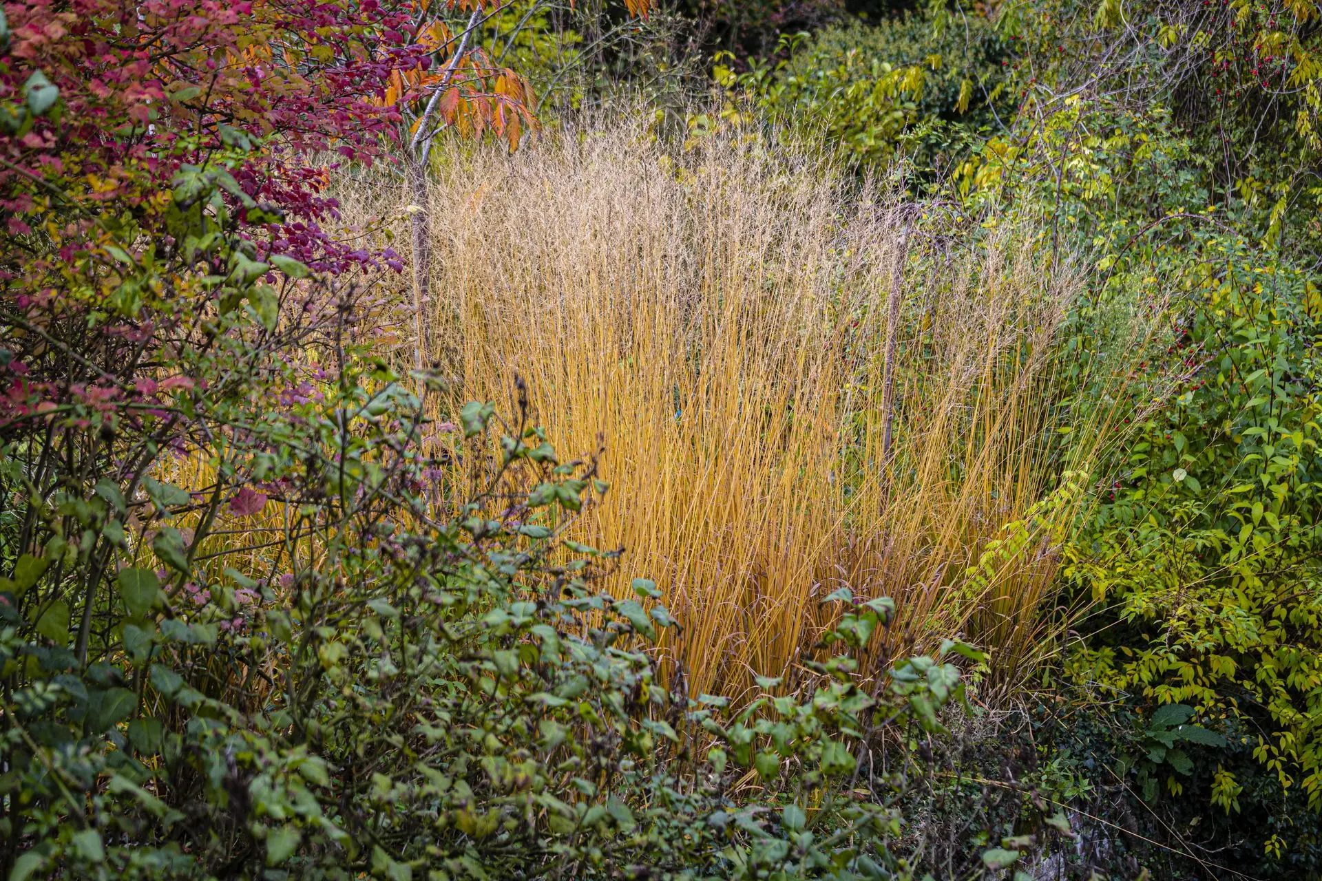 Landscapes image 4