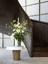 Contemporary - Gentle Tones-2.webp