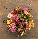 Seasonal-Signature-Bouquet-Majestic.webp