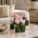 Bud Vase (5).webp
